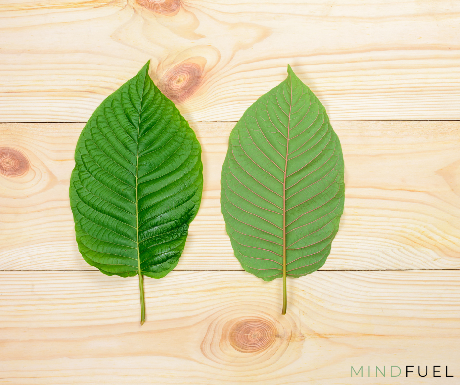 Mindfuel Bílý kratom